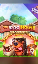 The Dog House Megaways